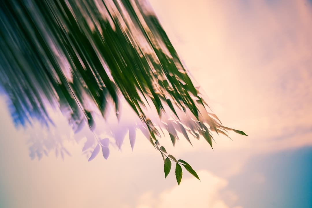 暑期合家欢首选！高口碑喜剧动画《浪浪山小妖怪》今天上映